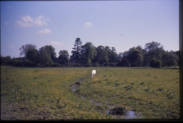 england75reel2-076