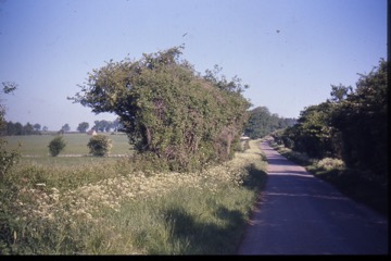 england75reel2-078